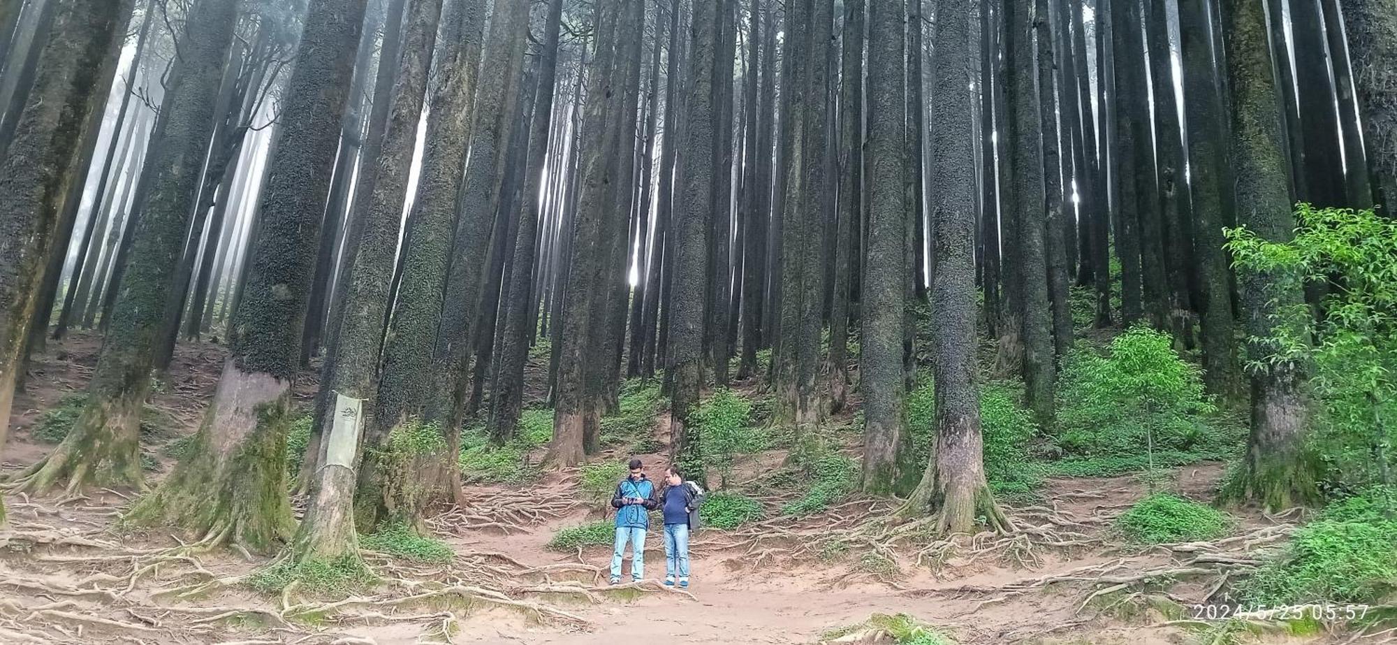Lama Homestay Darjeeling  Ngoại thất bức ảnh