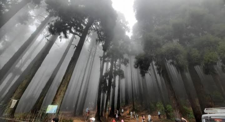 Lama Homestay Darjeeling  Ngoại thất bức ảnh